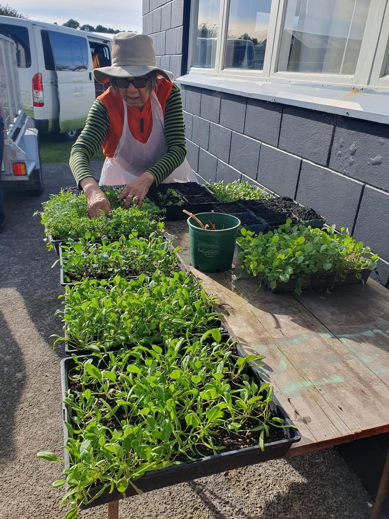 Bare Ground to Growing