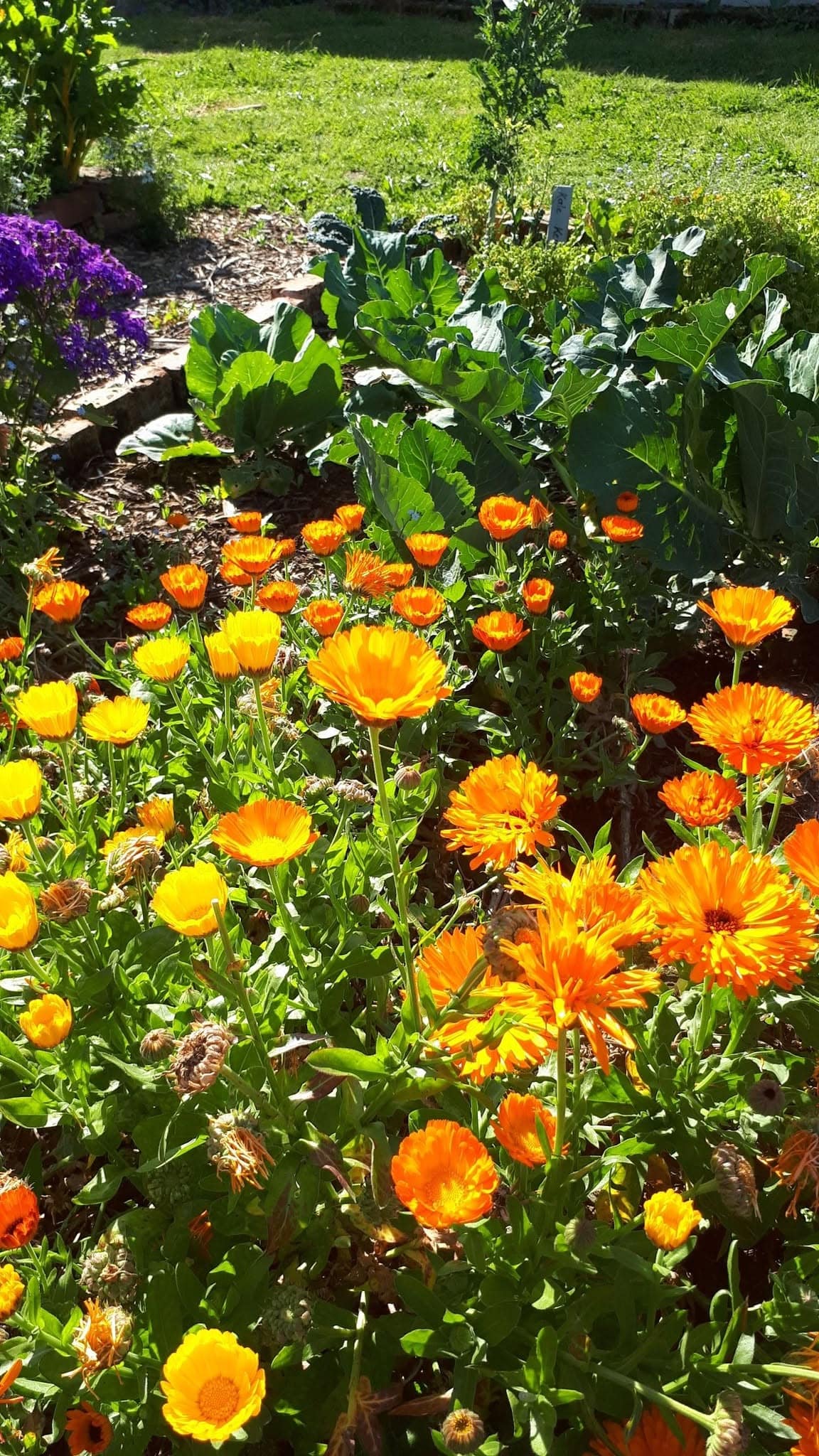 Grow: Gardeners' Gathering