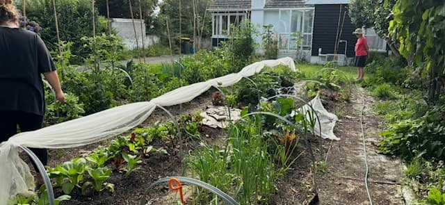 Growmeez: Communal Gardening