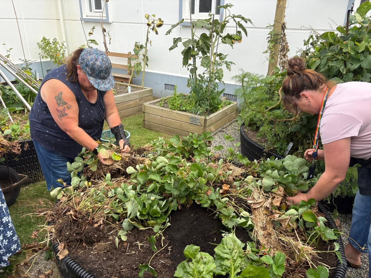 Kōia: Gardening for Well-being