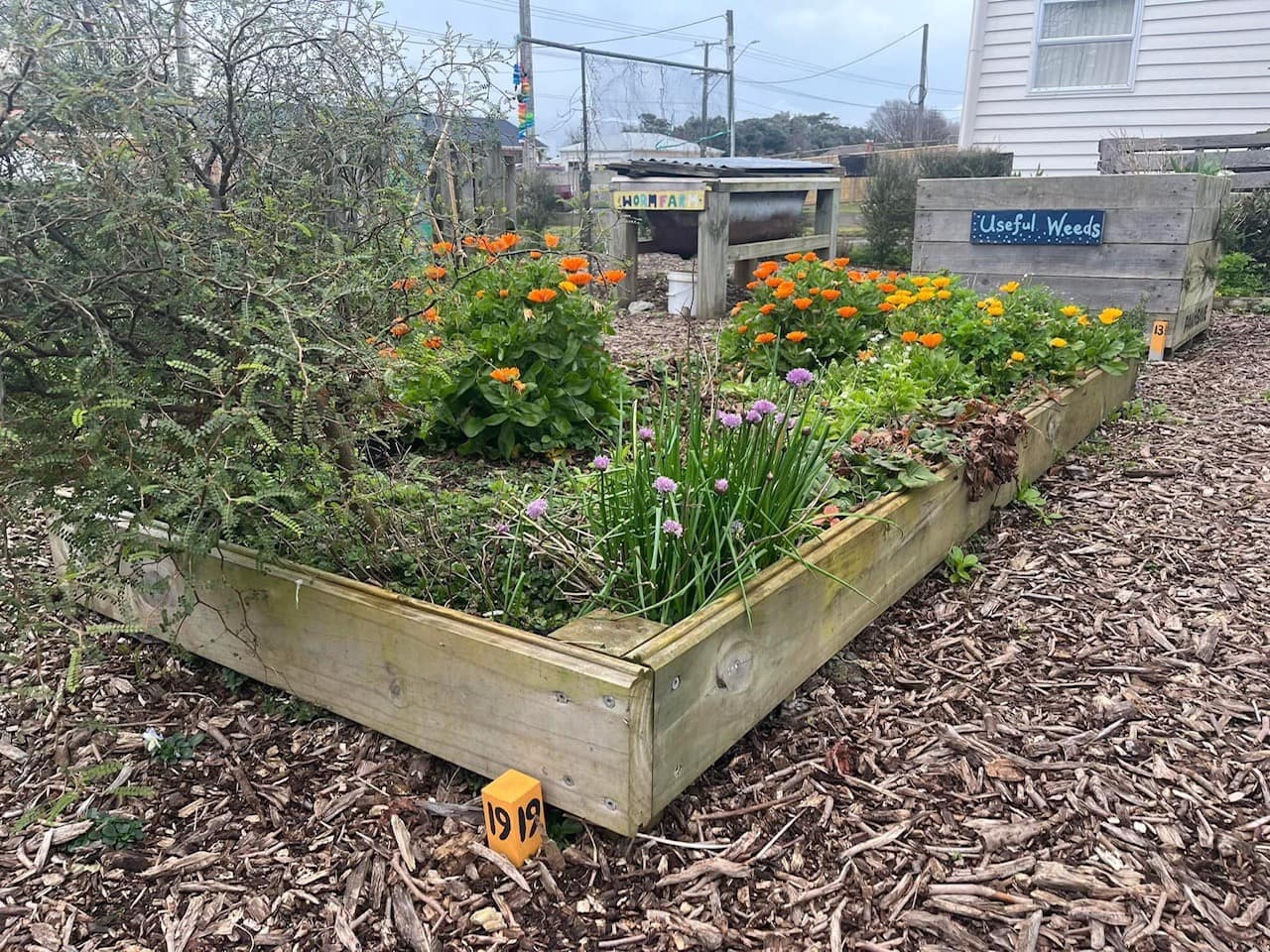 Natural Garden Pest Control