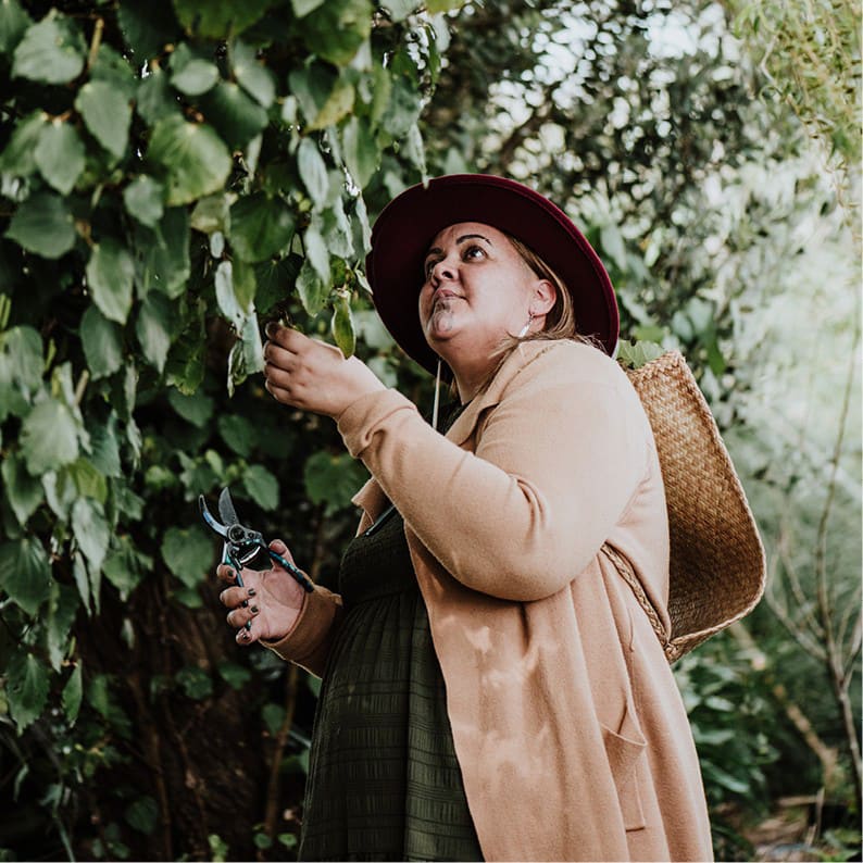 Rongoā Rākau: Natural Healing