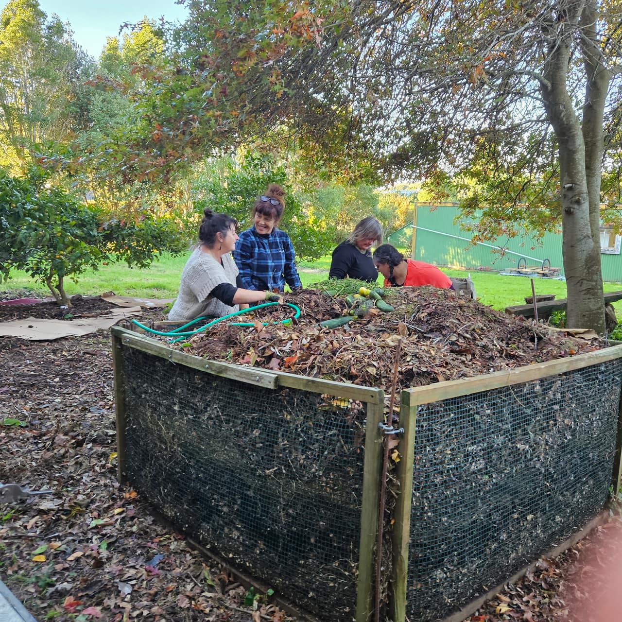 Kawakawa Haven