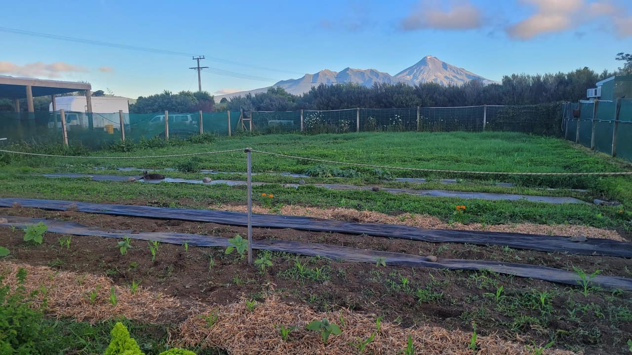 Pouakai Farm