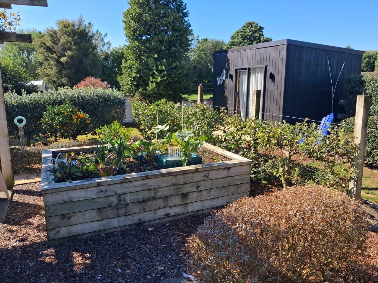 The Glassy Garden