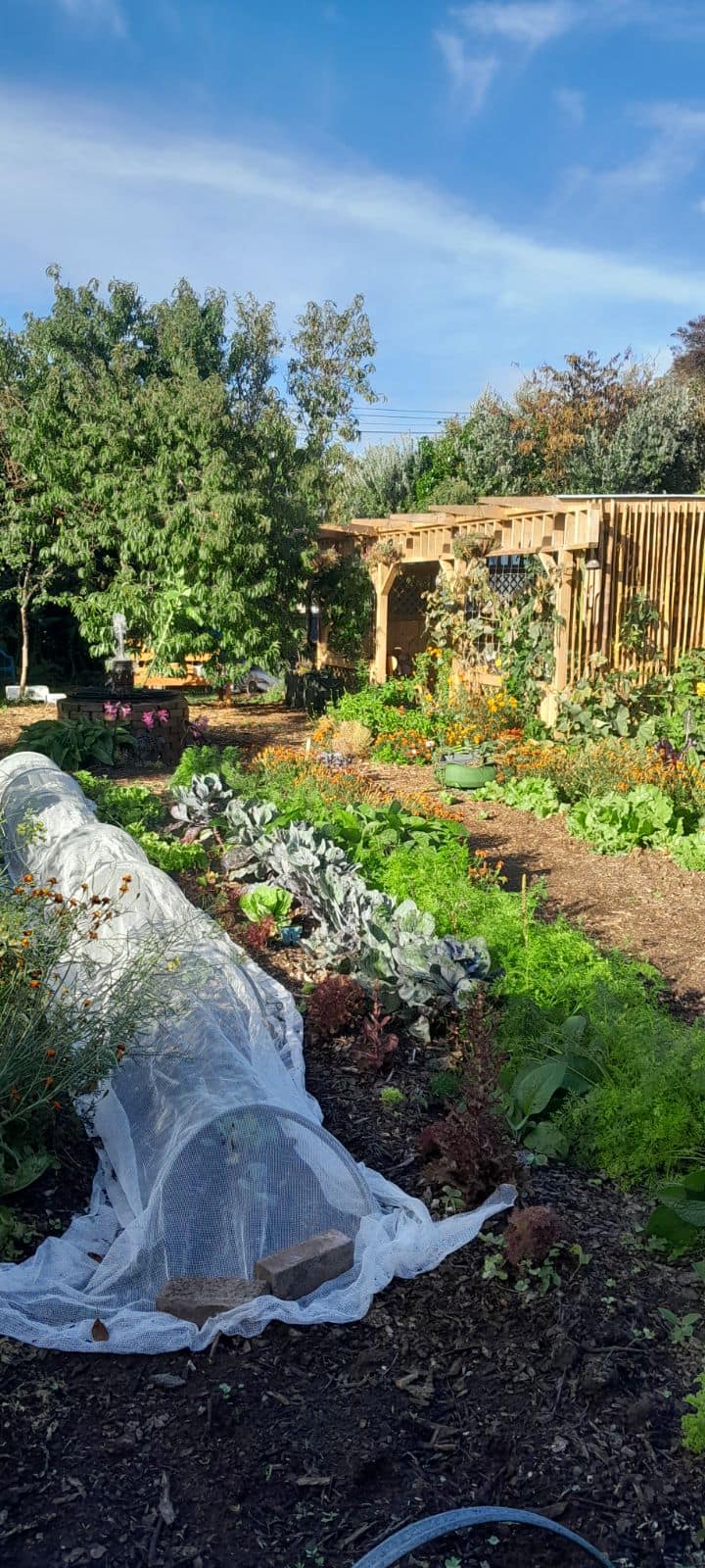 The Greenhouse