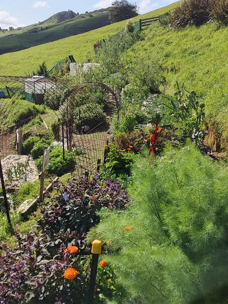 The Little Insect Farm